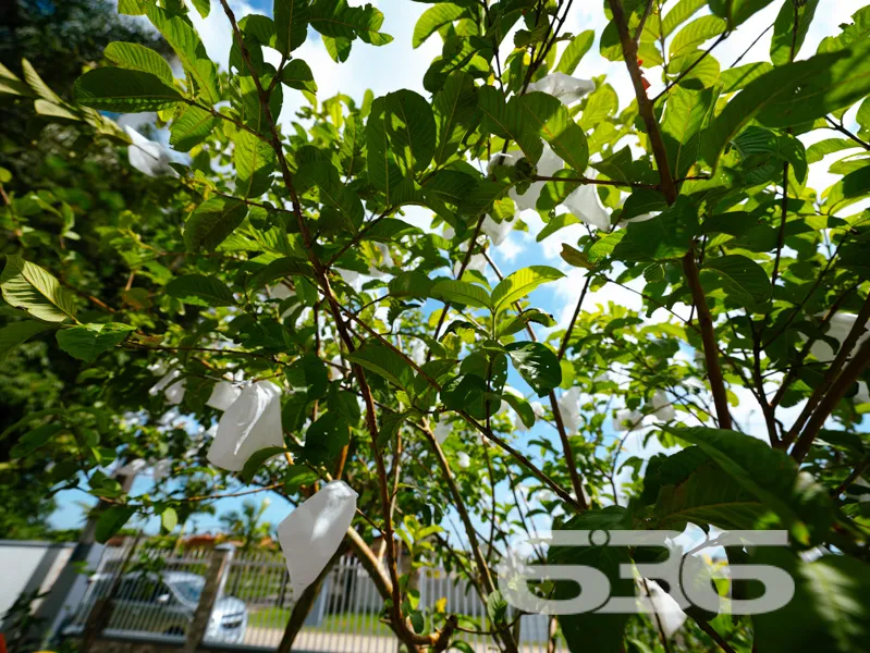 Casa à venda no Pinheiros, no belíssimo Loteamento
