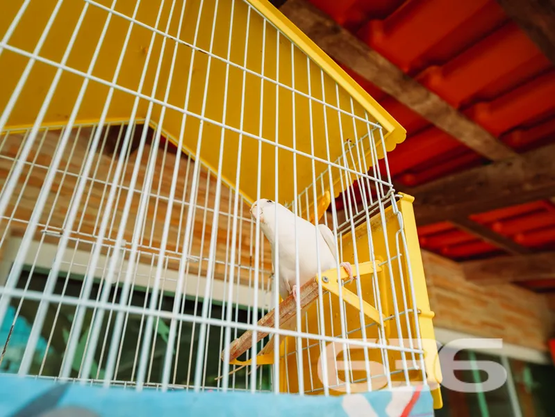 Casa à venda no Pinheiros, no belíssimo Loteamento
