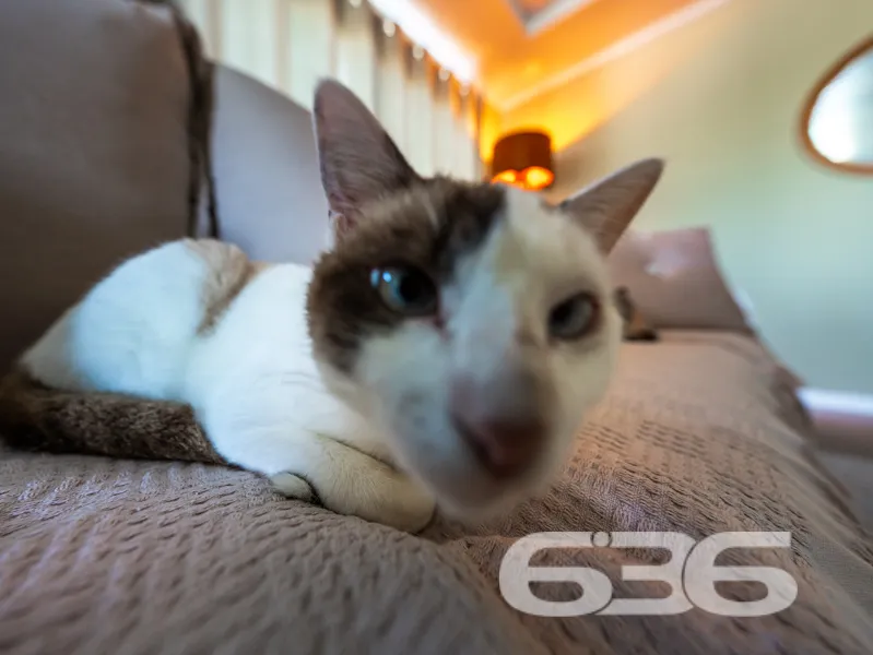 Seu refúgio de tranquilidade a poucos passos da la