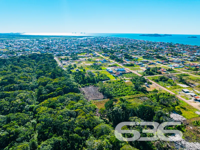 Descubra uma incrível oportunidade de investimento