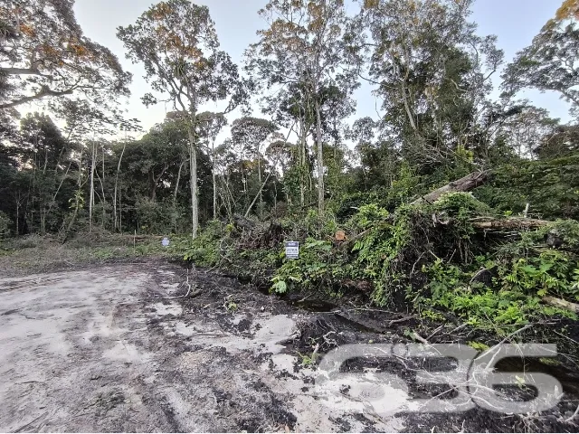 LOTE NO BAIRRO SALINAS, EM BALNEÁRIO BARRA DO SUL.