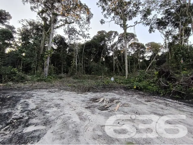 LOTE NO BAIRRO SALINAS, EM BALNEÁRIO BARRA DO SUL.