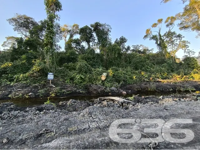 LOTE NO BAIRRO SALINAS, EM BALNEÁRIO BARRA DO SUL.