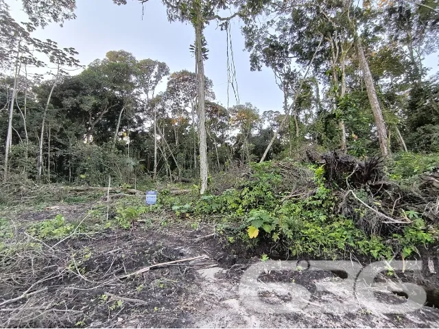 LOTE NO BAIRRO SALINAS, EM BALNEÁRIO BARRA DO SUL.