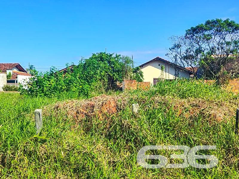 Seu próximo investimento está aqui: terreno amplo,