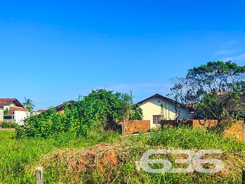 Seu próximo investimento está aqui: terreno amplo,