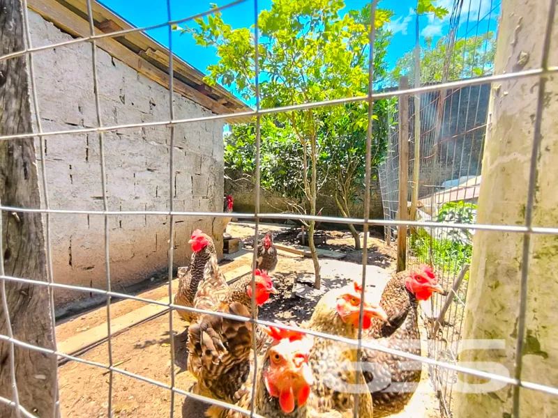 Encante-se com Esta Oportunidade Única em Balneári