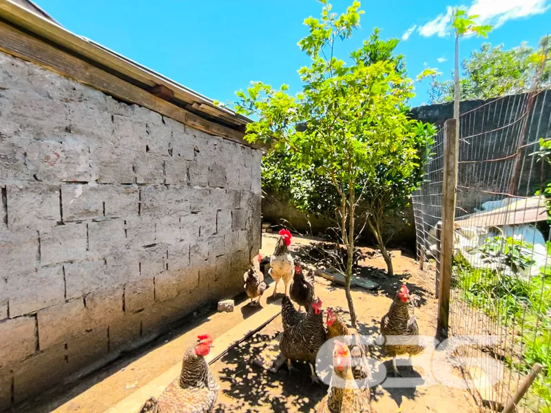 Encante-se com Esta Oportunidade Única em Balneári