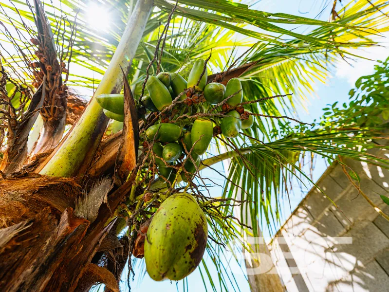 Descubra o refúgio perfeito à beira-mar em Balneár