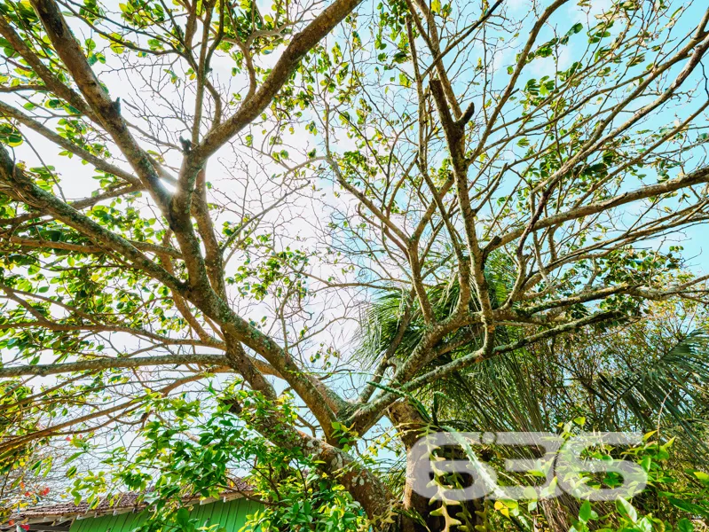 Descubra Seu Refúgio à Beira-Mar em Balneário Barr