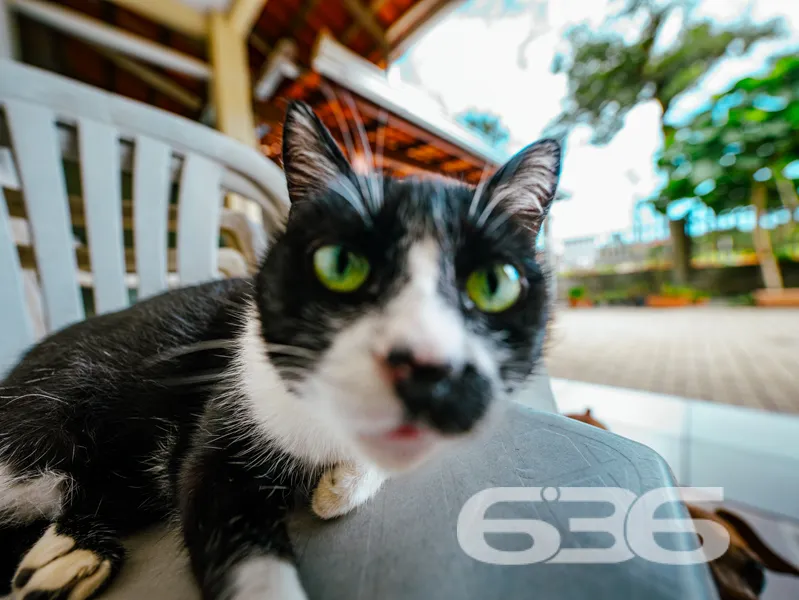 Casa à venda no bairro Costeira em Balneário Barra