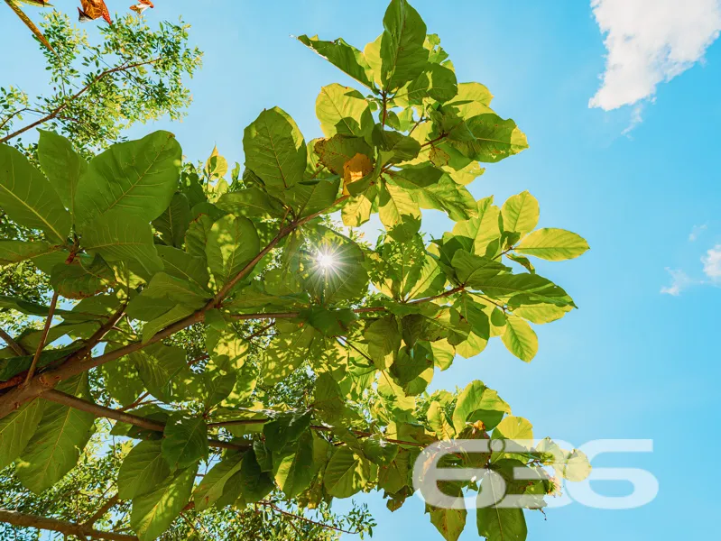 Casa à venda na Costeira – Balneário Barra do Sul