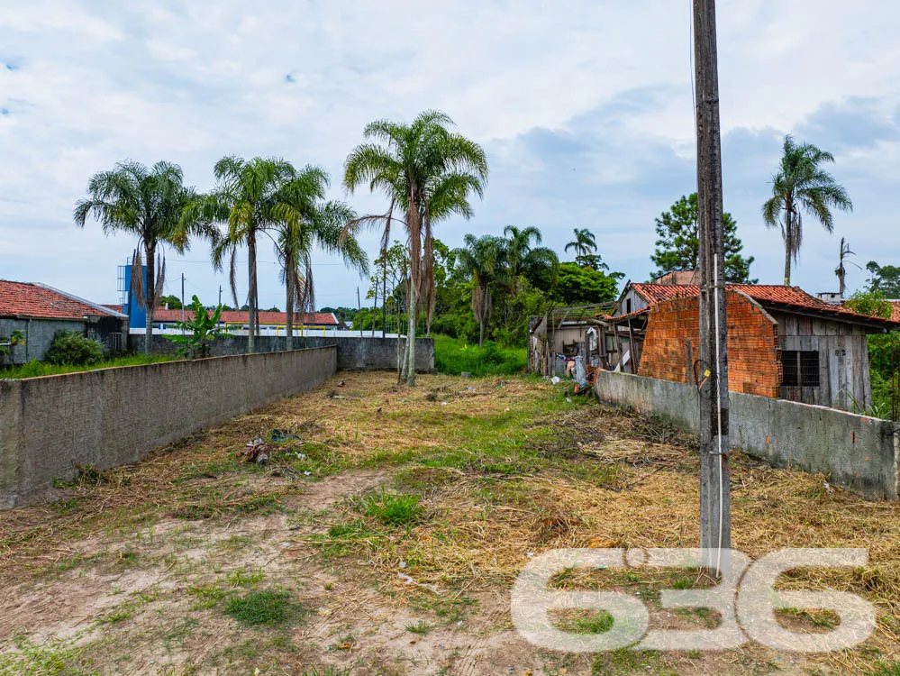 Descubra o Potencial do Seu Novo Investimento em B