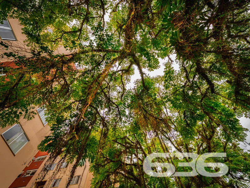 Apartamento à venda no Saguaçu, Joinville, com pla