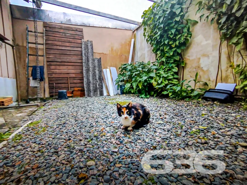RESIDÊNCIA COM POMAR NO BAIRRO COSTEIRA, BALNEÁRIO
