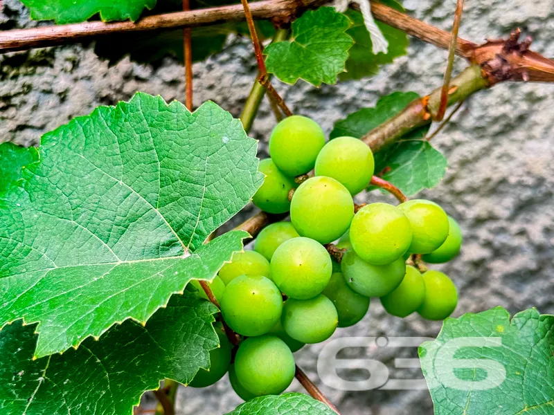 Descubra o seu novo lar em Joinville, no encantado