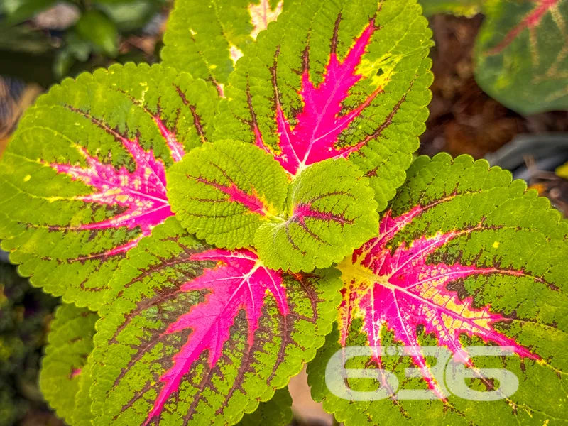 Descubra o seu novo lar em Joinville, no encantado