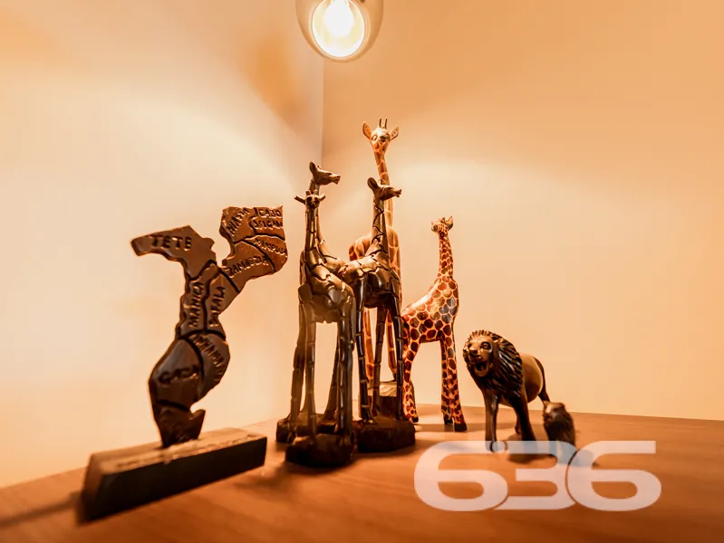 Descubra seu novo lar perfeito com a 636 Negócios