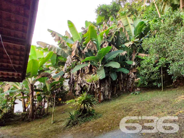 DUAS EXCELENTES CASAS EM UM TERRENO NO BAIRRO ANIT