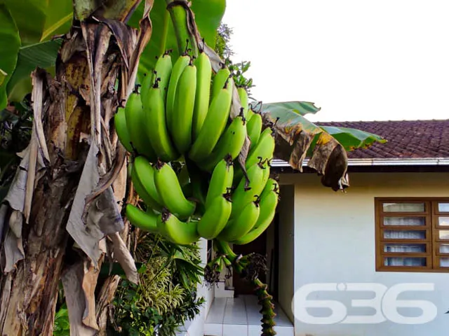 DUAS EXCELENTES CASAS EM UM TERRENO NO BAIRRO ANIT
