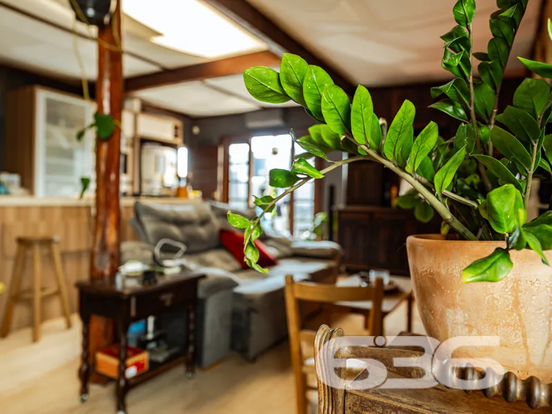 Oportunidade única no Bom Retiro: residência térre