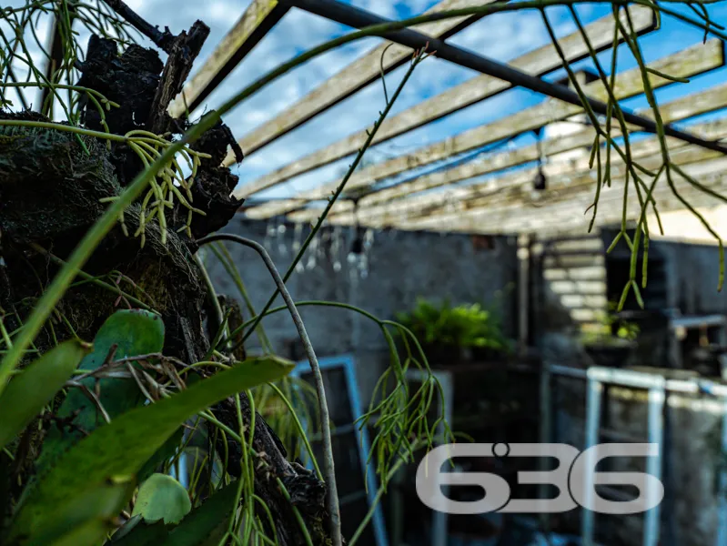 Oportunidade única no Bom Retiro: residência térre