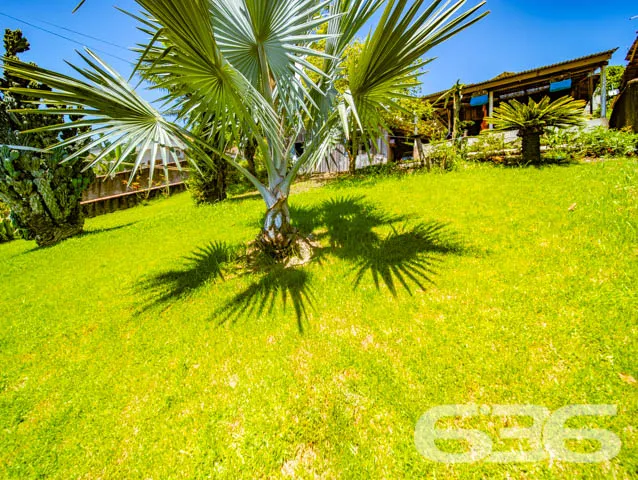 VENDE-SE TERRENO COM ACLIVE ACENTUADO NO ITAUM!
De