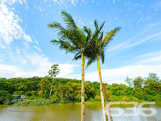 IMĂVEL COM 3 QUARTOS NO BAIRRO BUCAREIN
Apresenta