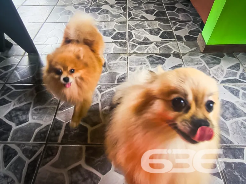 Descubra o seu próximo lar no coração do bairro It