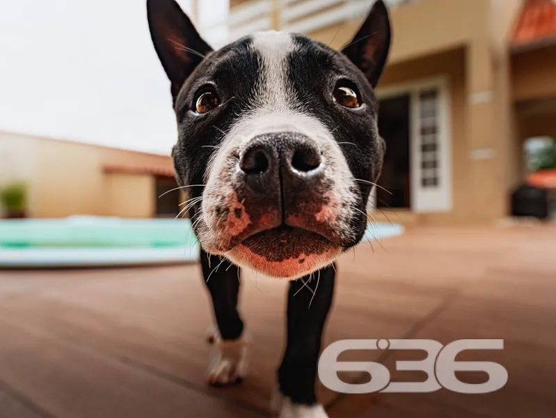 SOBRADO À VENDA NO BAIRRO VILA NOVA EM JOINVILLE -