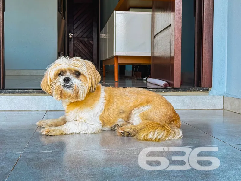 Casa à venda no bairro Floresta, Joinville!
Descub