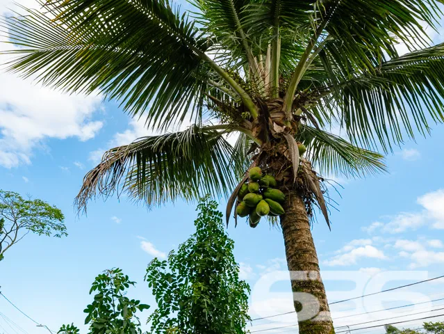 Com mais de 30 anos de atuação no mercado imobiliá