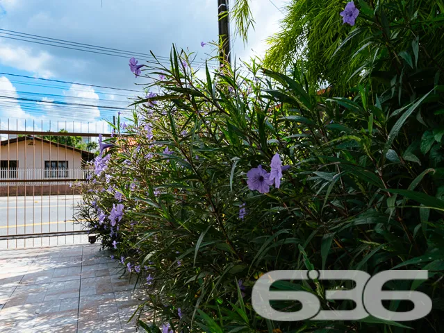 BAIRRO FLORESTA - SOBRADO COM SUĂTE MASTER + 4 DOR