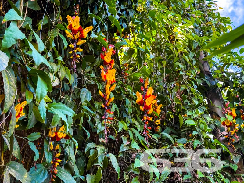 Se você está procurando um novo local para chamar 