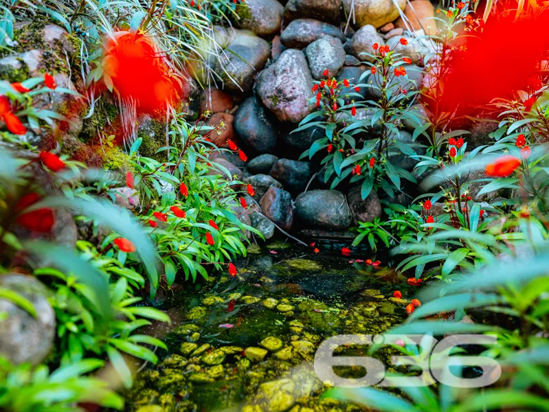 CASA TÉRREA COM 235m², 4 QUARTOS E GARAGEM ESPAÇOS