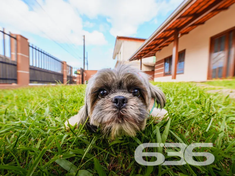 Casa à venda no bairro João Costa, Joinville | 3 q