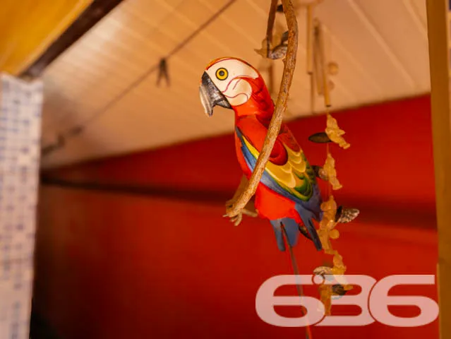 Excelente Residência no Bairro João Costa, Joinvil