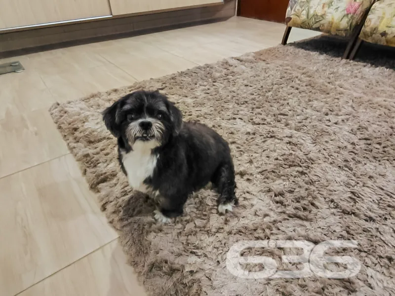 Casa à venda no bairro Nova Brasília, Joinville | 