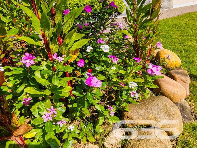 Casa à venda no bairro Nova Brasília, Joinville | 