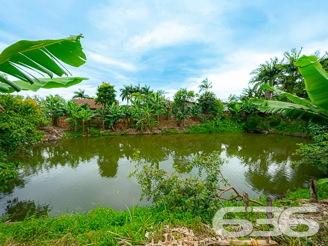GRANDE OPORTUNIDADE DE IMÓVEL NO CENTRO DE PIRABEI