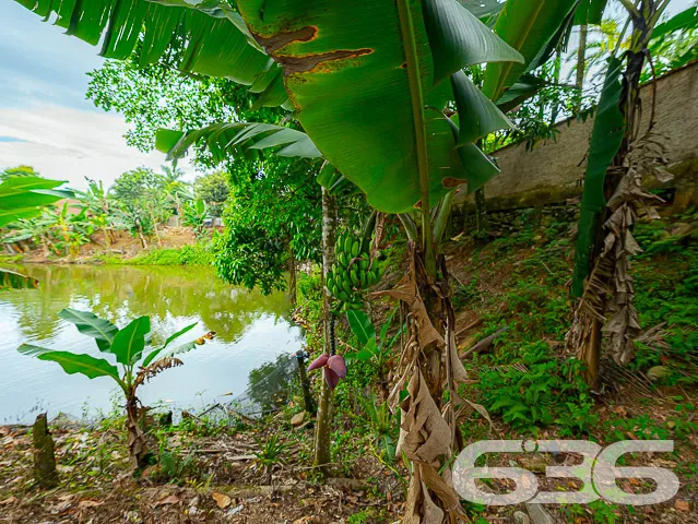 GRANDE OPORTUNIDADE DE IMÓVEL NO CENTRO DE PIRABEI