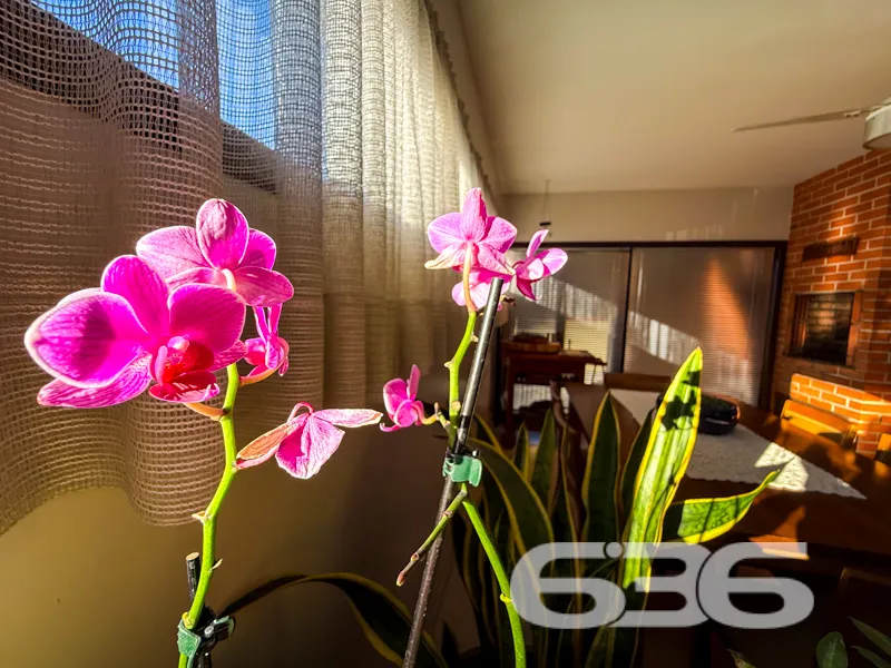 O SEU NOVO LAR NA ACOLHEDORA JOINVILLE-SC!
Prepa