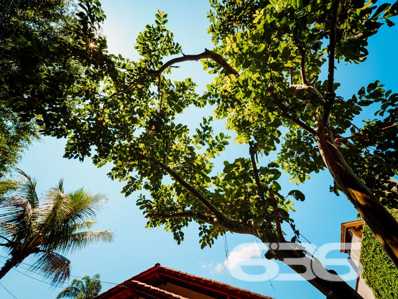 Casa à venda no bairro Santo Antônio, em Joinville