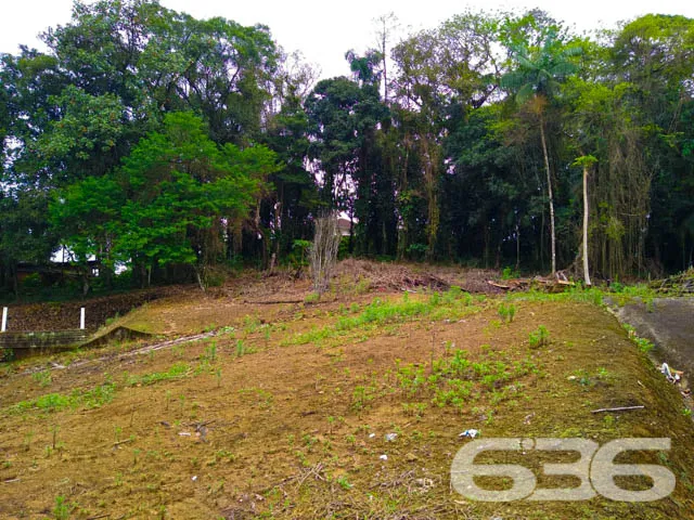 OPORTUNIDADE DE  TERRENO, NO BAIRRO BOM RETIRO, EM