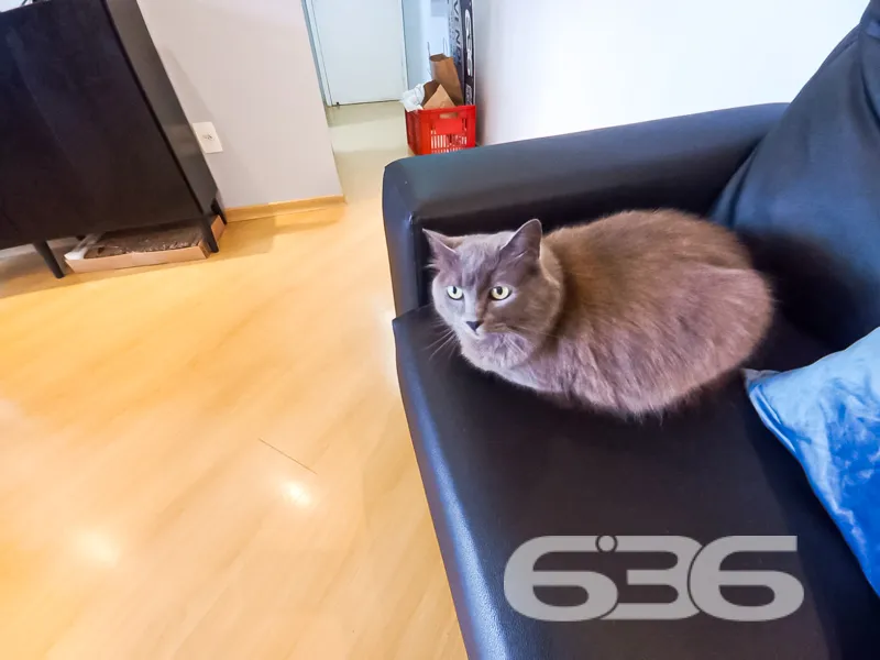 Encontre a harmonia perfeita entre conforto e loca