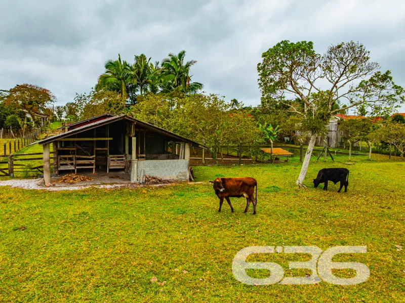 Paraíso Rústico em Balneário Barra do Sul - A Chác