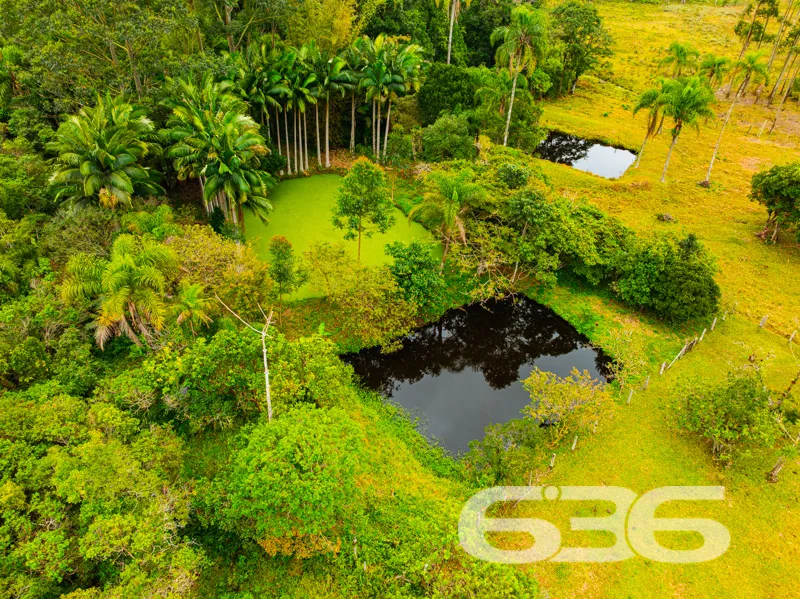 Paraíso Rústico em Balneário Barra do Sul - A Chác