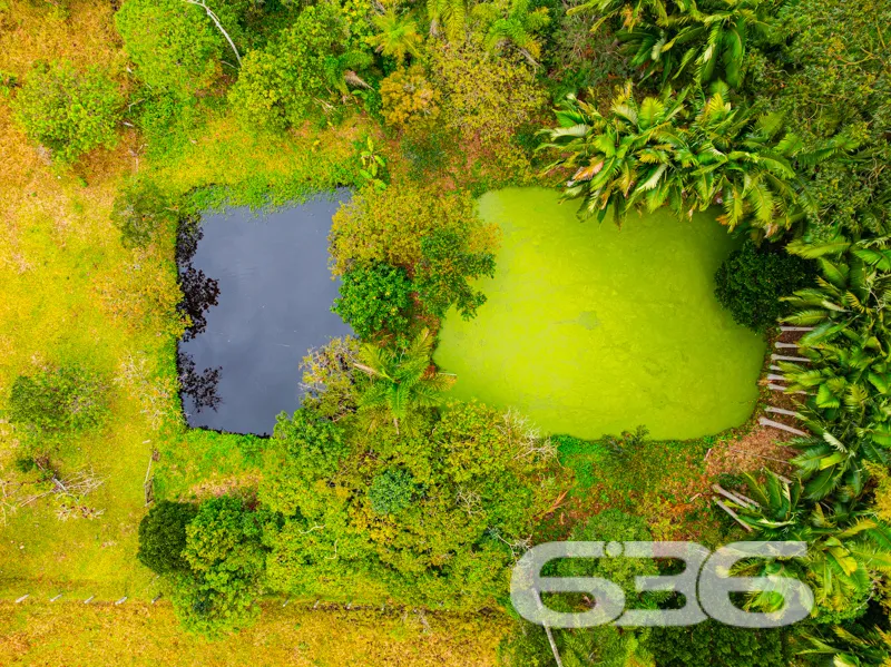 Paraíso Rústico em Balneário Barra do Sul - A Chác