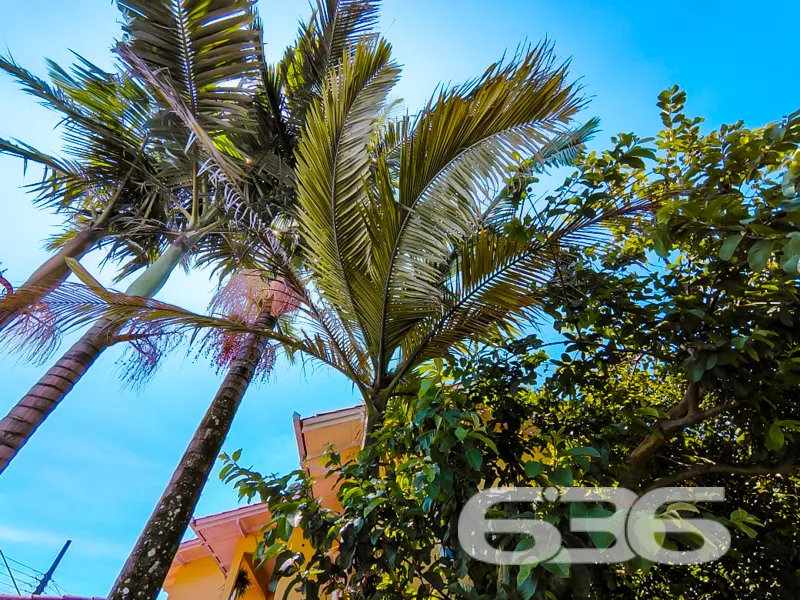 OPORTUNIDADE IMPERDÍVEL: SOBRADO COMERCIAL À VENDA