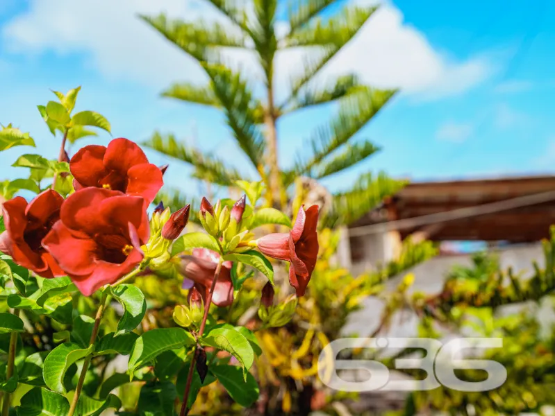 Casa à venda no bairro Pinheiros, Balneário Barra 